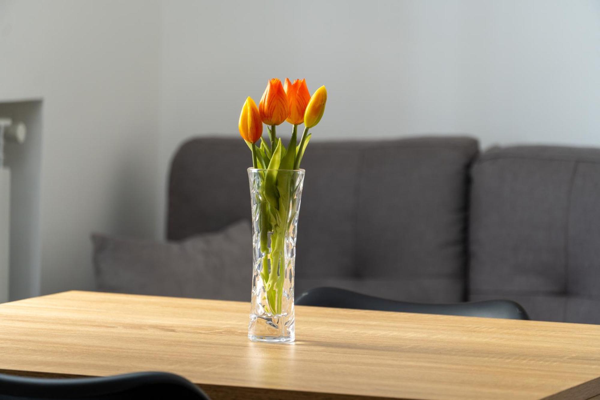 Marle Apartment Παλέρμο Εξωτερικό φωτογραφία